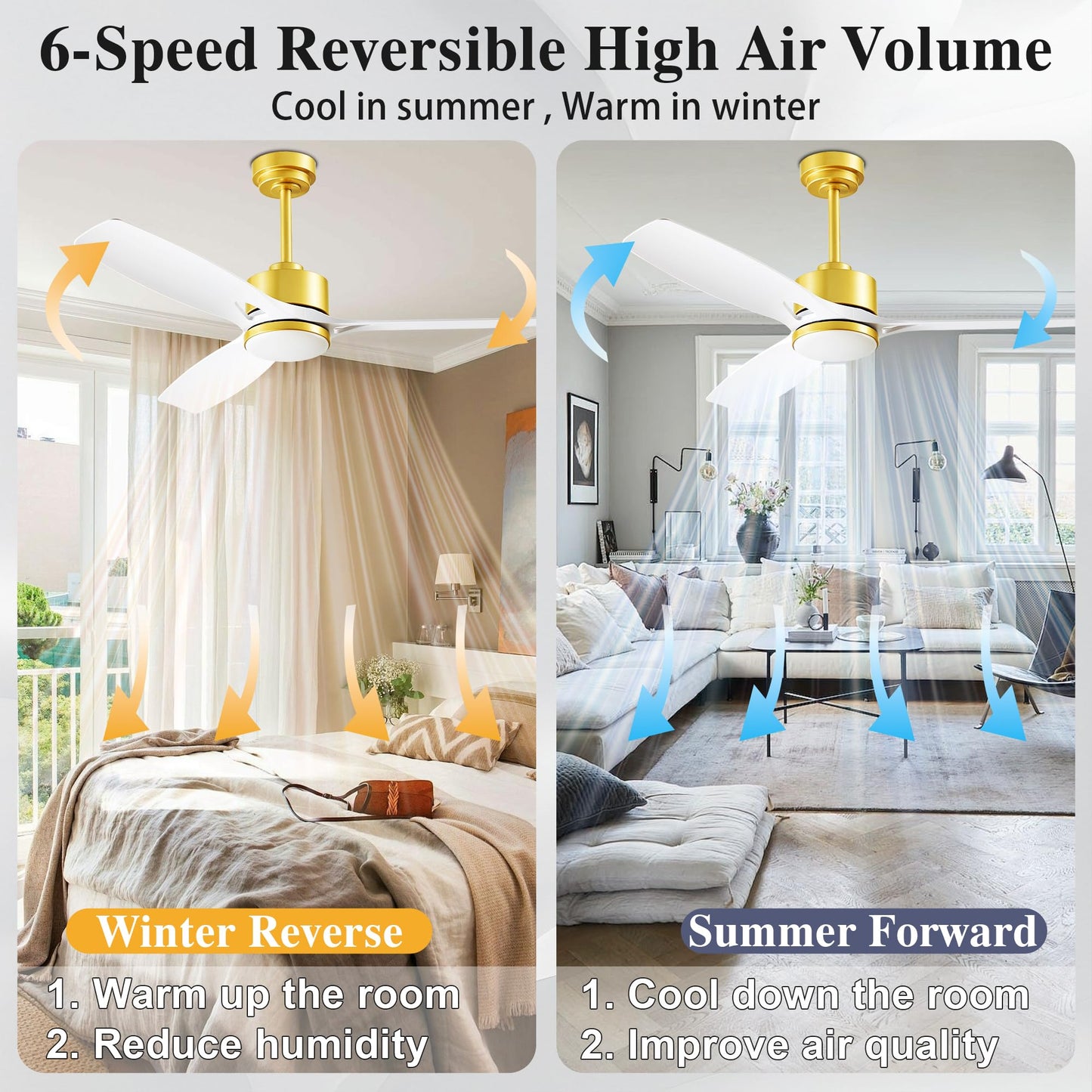 DIAMONDFORGE 52 Inch Ceiling Fan with Lights, Remote Control, Acrylic, White Gold, Model FFL52WGWY1