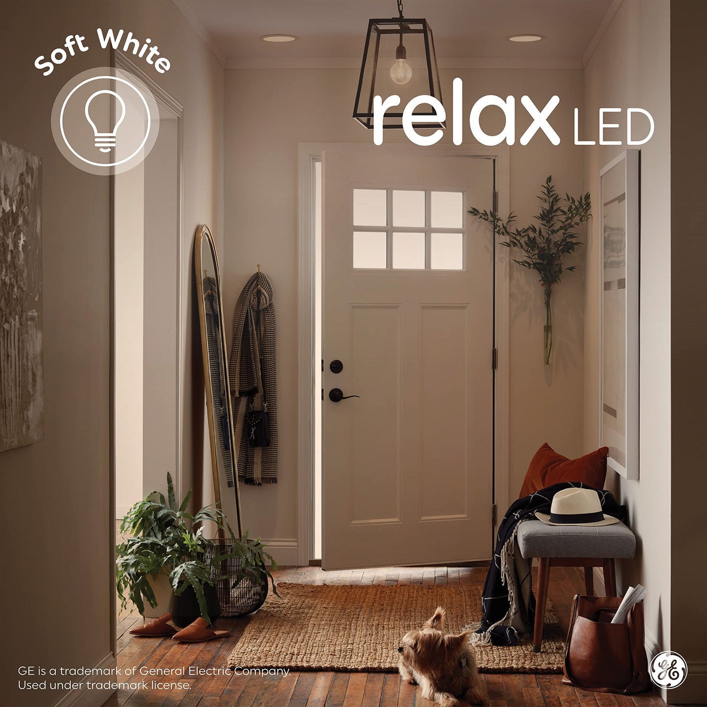 GE Relax LED Light Bulbs, 60W Equivalent, Soft White, A19, Glass, 4 Count, Medium Base