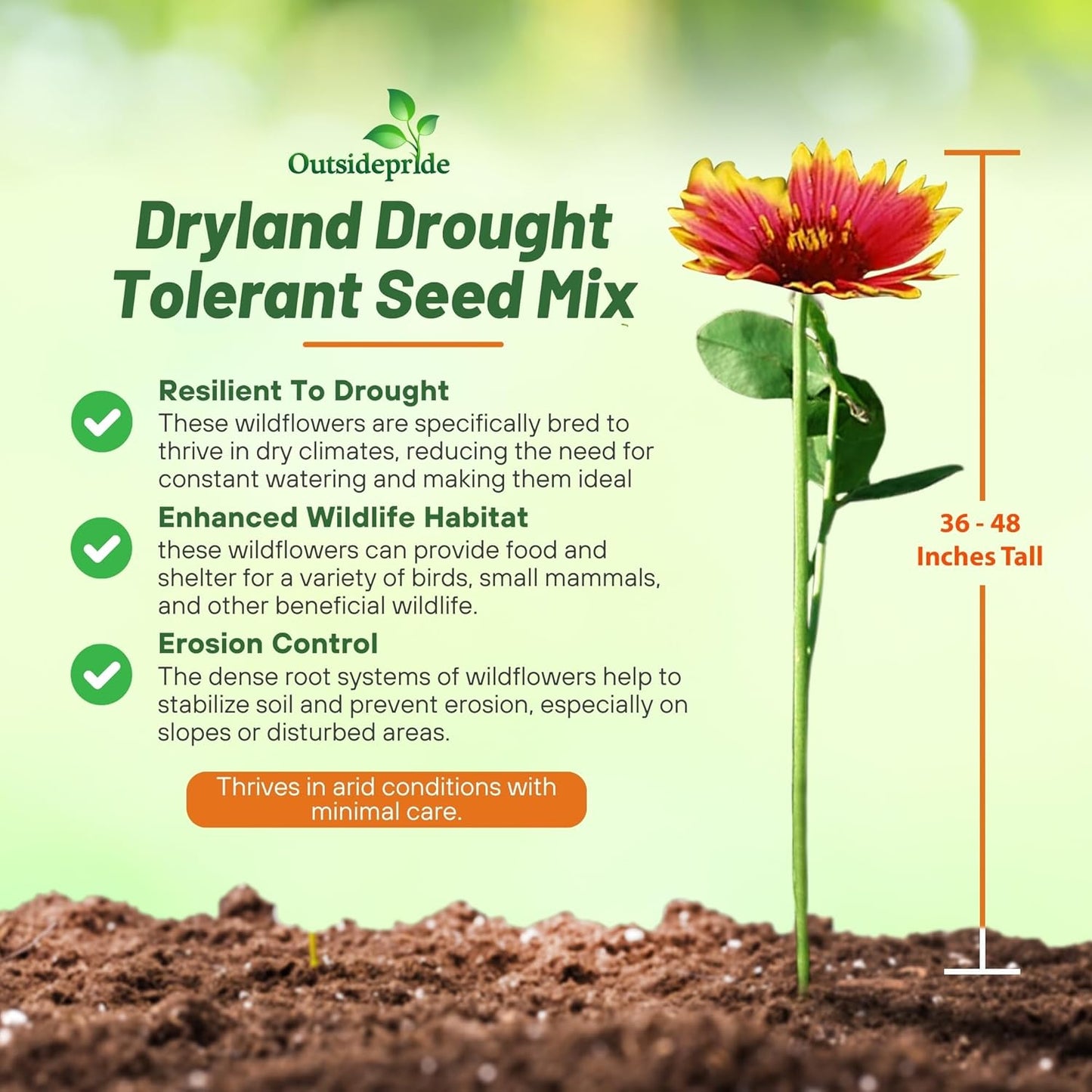 Outsidepride Dryland Wildflower Seed Mix - 5 lbs. Colorful Blend of Drought Tolerant, Annual and Perennial Wildflower Seeds for Attracting Pollinators in Arid States & Xeriscapes