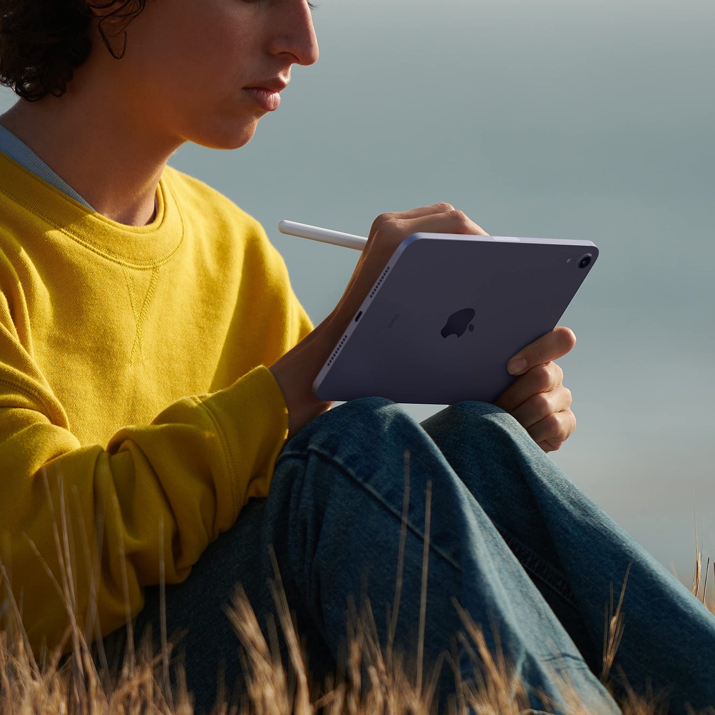 Apple Ipad Mini (6Th Generation): A15 Bionic, 8.3-Inch Liquid Retina Display, 256Gb, Wi-Fi 6, 12Mp Front/12Mp Back Camera, Touch