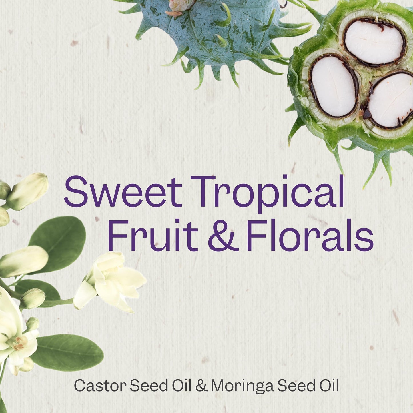 Renpure Castor Oil & Moringa Shampoo, Plant-Based - Curl Enhancing - For Moisturized, Manageable & Smooth Curls - With Castor &