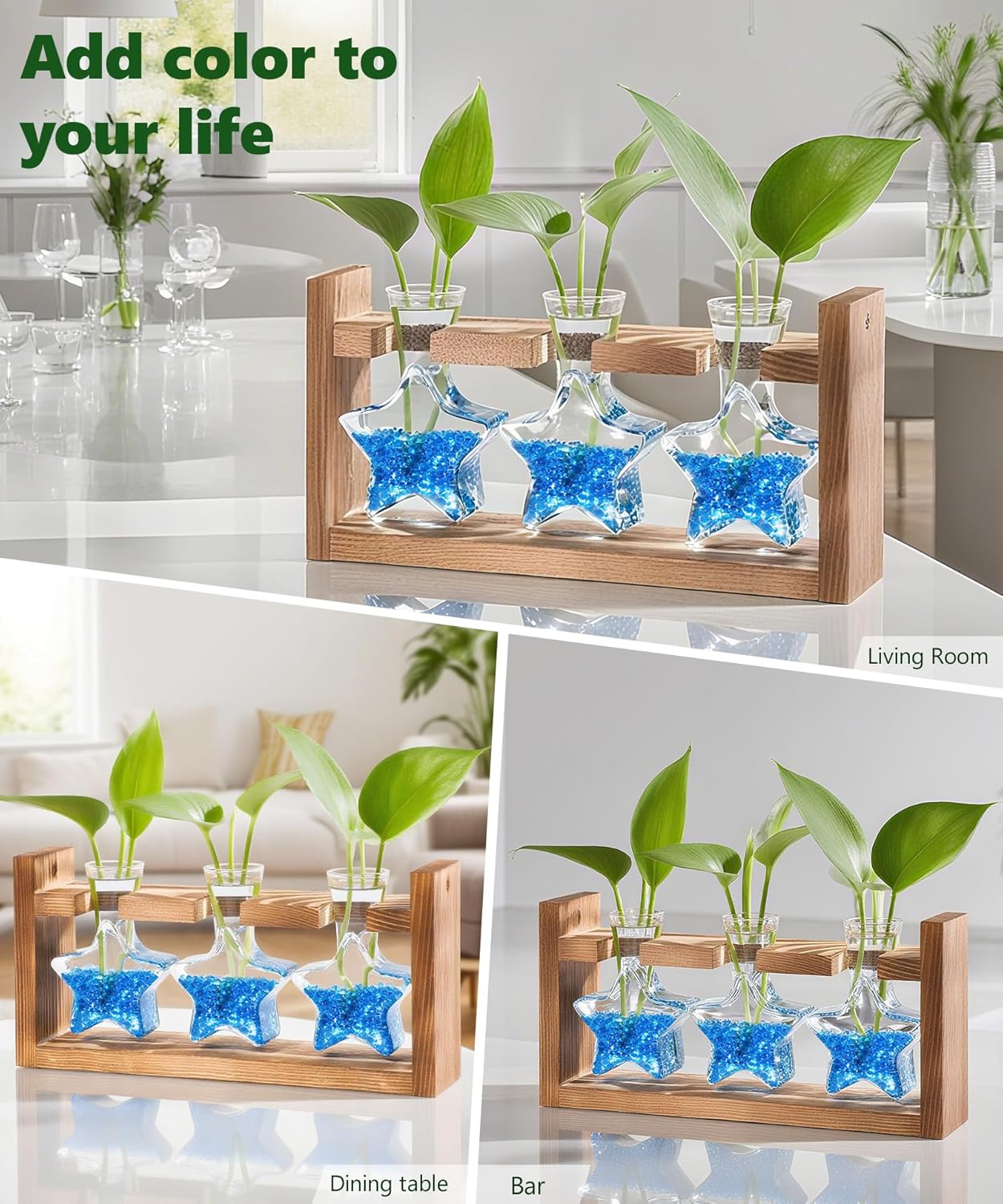 Nacome Plant Terrarium with Wooden Stand,Star-Shaped Planter Propagation Station Glass Vase for Home Office Decor- Unique Gifts for Plant Lovers Women Mom