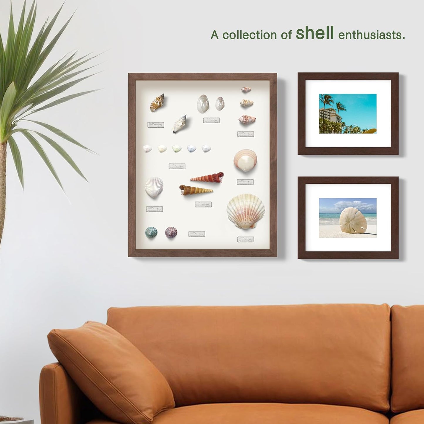 FrameWorks 8x10 Driftwood Wooden Shadow Box Frame – Soft Felt Back, Tempered Glass, and Included Elegant White Ball Push Pins
