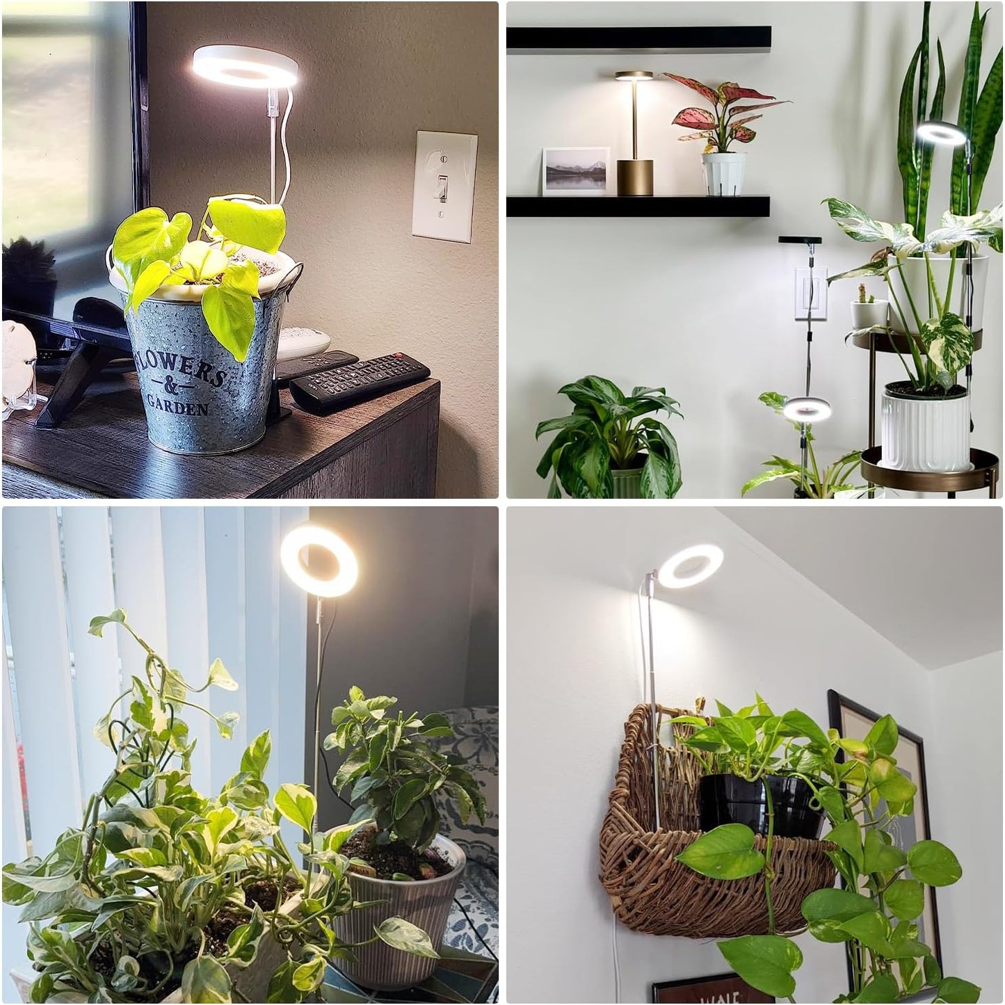 Grow Lights for Indoor Plants,Full Spectrum Plant Lights for Indoor Growing with with 3/9/12H Timer, 3 Color Modes, 10 Brightness, 6.5"-26" Height Adjustable Small Grow Light, 2 Pack(3.4in)