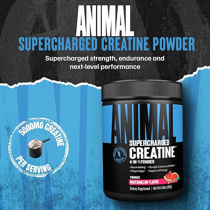 Animal Supercharged Creatine Powder - Flavored Creatine Monohydrate Enhanced with Betaine Anhydrous, PurpleForce & Senactiv, Strength, Endurance, Muscle Recovery for Men and Women - Watermelon, 300g