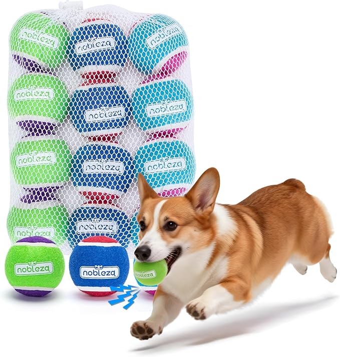 Nobleza Tennis Balls for Dogs 12 Pack, 2.5in Durable Bouncy Floatable Squeaky Tennis Balls for Dogs for Fetch & Exercise, ...