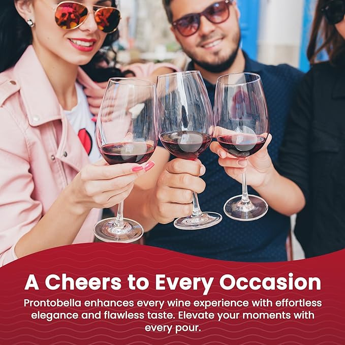 Wine Aerator and Pourer, Wine Aerator for Enhanced Flavor, Refined Aroma, Smooth Rich Finish, No Drip Design, Travel Friendly, Affordable Gift for Wine Lovers, Clear and Stainless Steel Design