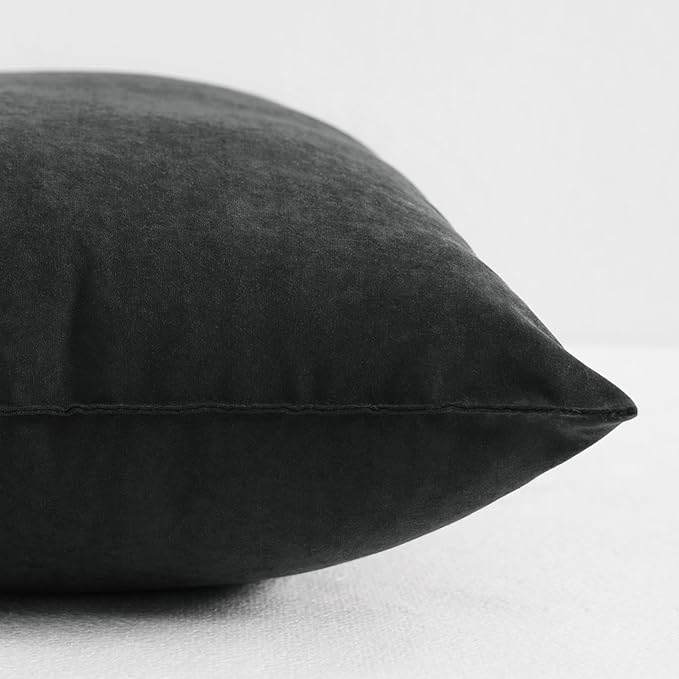 NTBAY Toddler Pillows, Down Alternative 13"x18" Pillows, Machine Washable - Soft and Breathable Travel Small Pillows for Sleeping, Ideal for Daycare, Crib, Cot, Black