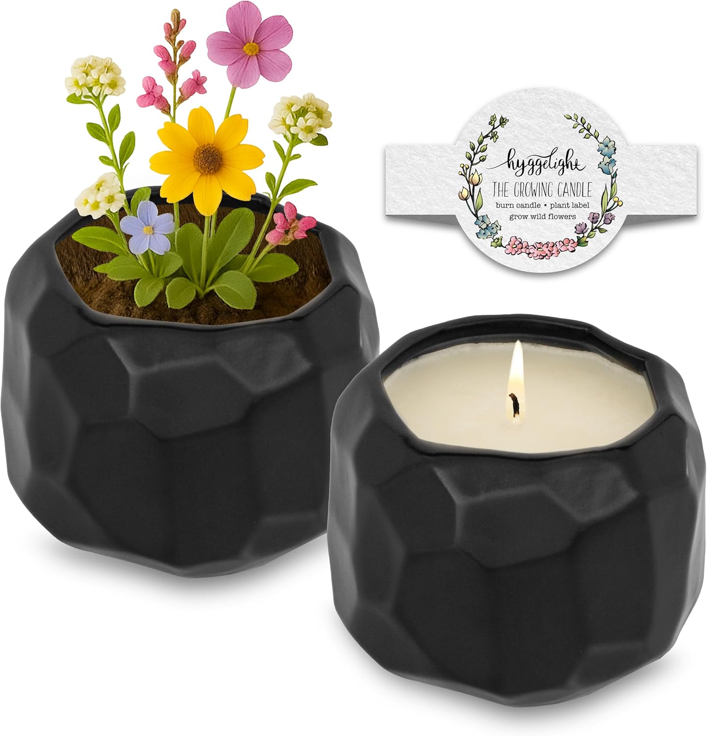 The Growing Candle, Mint & Eucalyptus Scented, 13oz Ceramic Pot, Aromatherapy Candles, 100% Soy, Emma