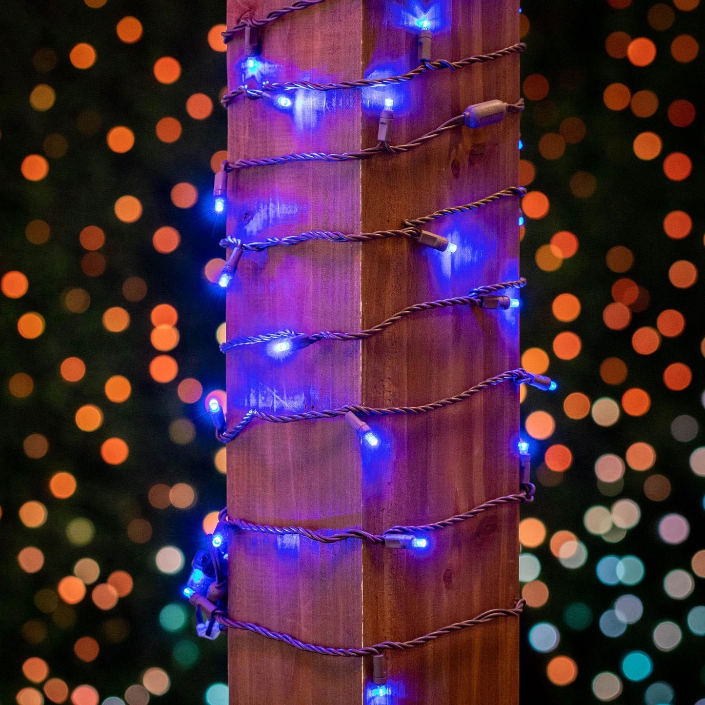 Novelty Lights 50 Led Mini String Lights, 25 Feet, Blue, Copper Wire, Model Mrd-25B-2, Perfect For Outdoor Party Lighting