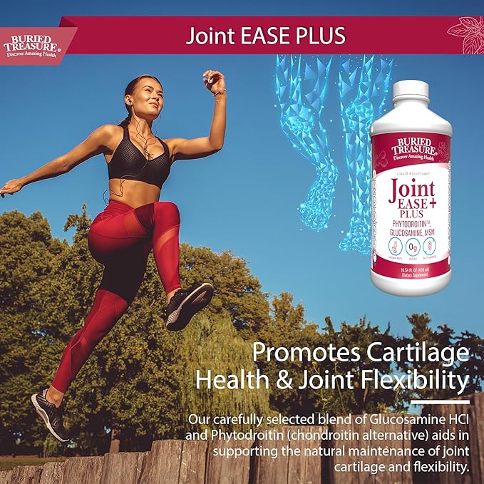 Buried Treasure Joint Ease Plus - 16 fl oz, Glucosamine Chondroitin with MSM and Turmeric, Joint Support Supplement