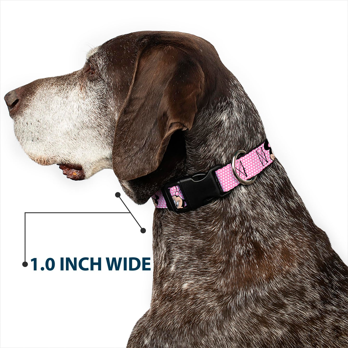 Buckle-Down Plastic Clip Collar - Minnie Mouse Expressions Polka Dot Pink/White - 1.5" Wide - Fits 16-23" Neck - Medium