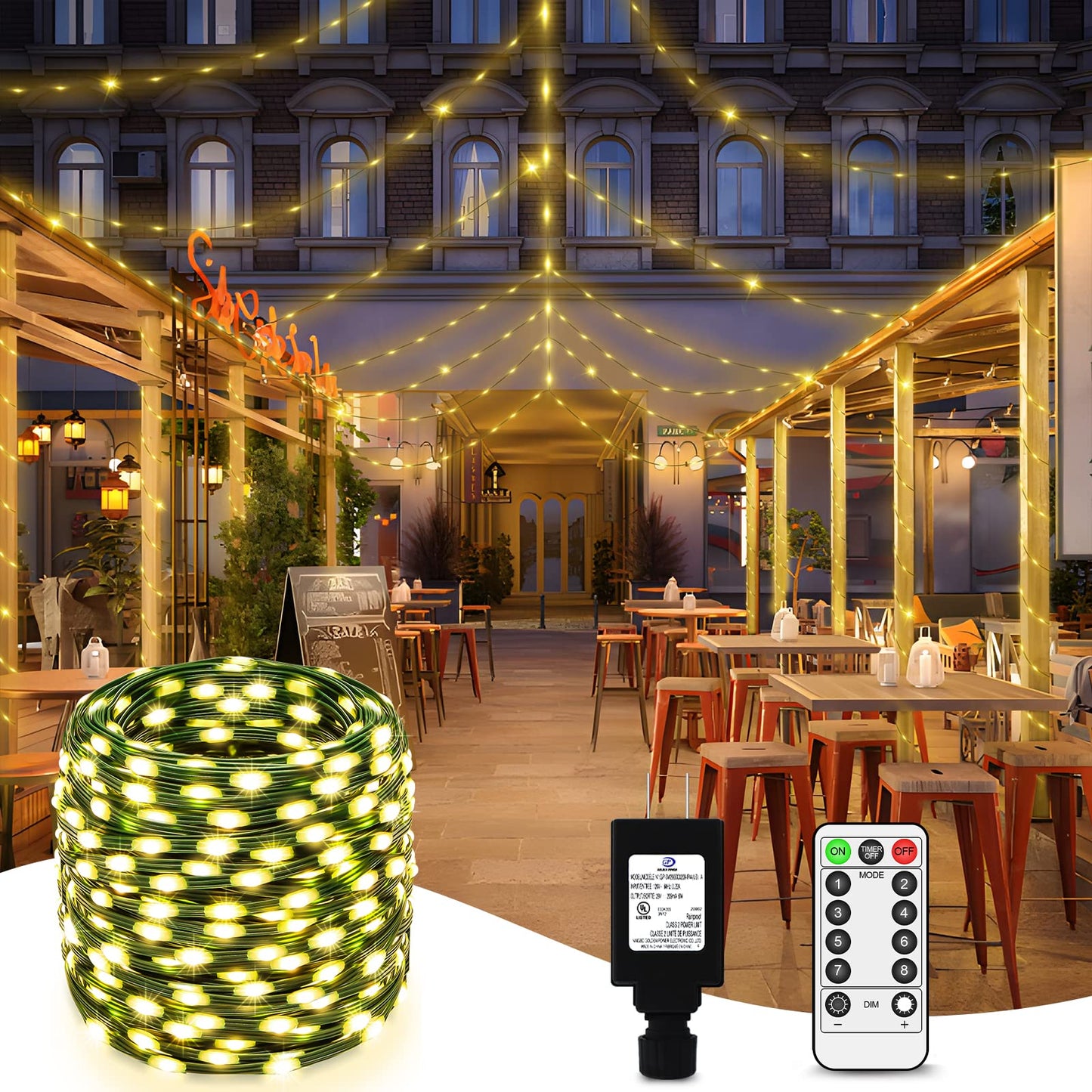 ROADAYLY Christmas String Lights 1000 LED 328 Ft Waterproof Warm White Fairy Lights with Remote Timer, Model BG-CL3M3-306L01