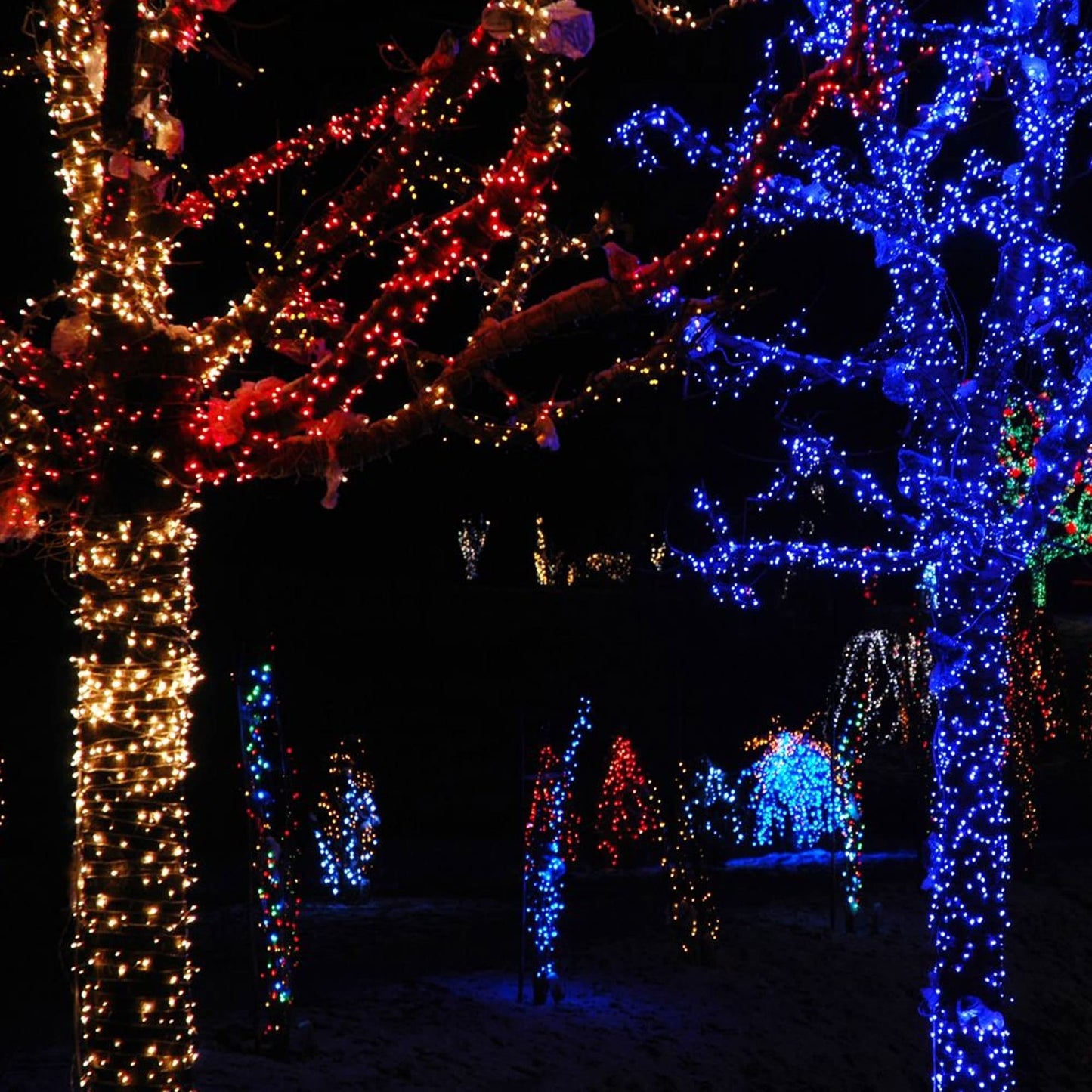 TW SHINE Red Christmas Lights, 400 LED Outdoor String Lights, 132FT, Waterproof, 8 Modes, Model HB-200COI
