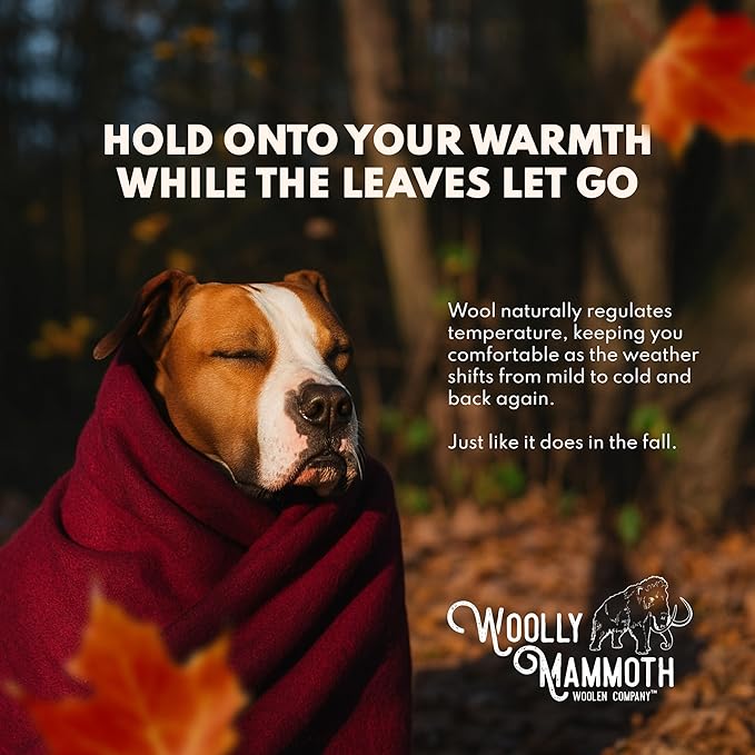 Woolly Mammoth 50% Wool Blanket - Warm, Thick Outdoor Throw for Winter - for Picnics & Travel, Machine Washable - 85" x 47", Beige - Wool Picnic Blanket