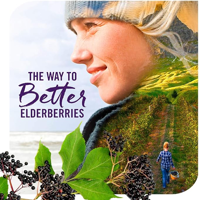 Nature's Way Sambucus Immune Syrup Single Shot, Daily Immune Support*, Elderberry, Vitamin C, Zinc, 0.67 Fl Oz x 12 (Packaging May Vary)