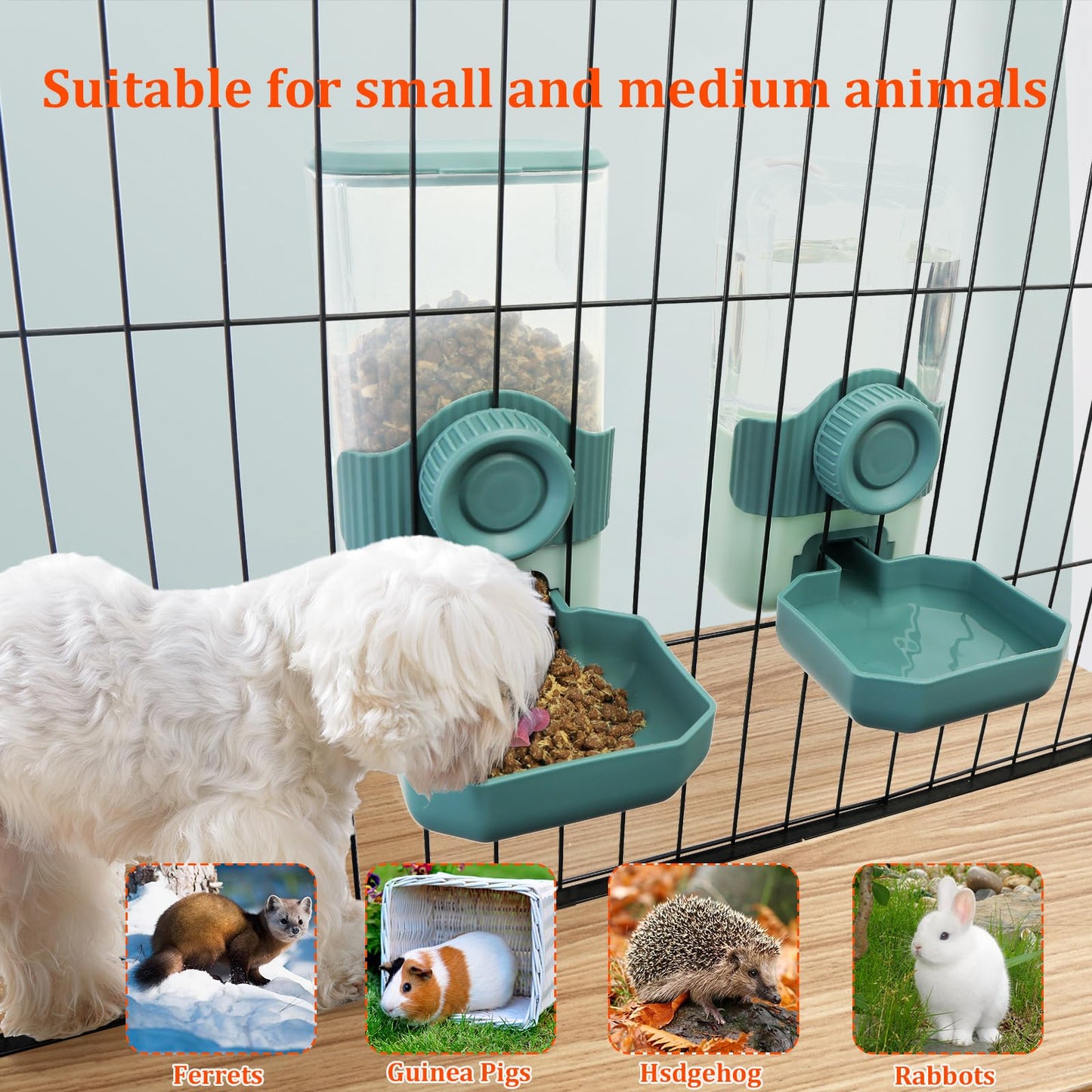 Chebet Automatic Gravity Pet Feeder Water Dispenser with Adjustable Hanging Hook - Large Capacity for Small/Medium Animals (Guinea Pigs, Cats, Rabbits, Hedgehogs, Ferrets) (Blue)