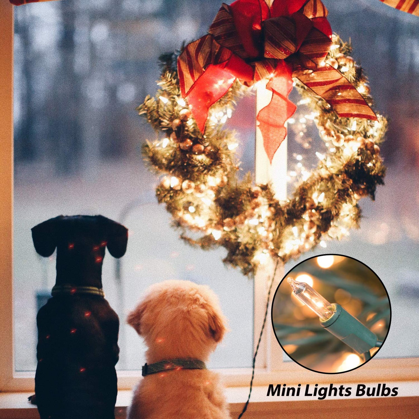 Minetom Clear Christmas Lights - 100 Count Waterproof Mini String Lights, Color Changing, 25 Feet, Green Wire