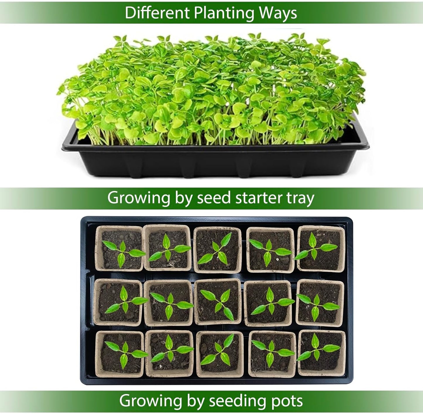 JOPY 4 Pack Seed Starter Tray Kit for Indoor Outdoor Garden Seeding Plastic Germination Trays with 120 Square Seed Peat Pots for Plant Growing