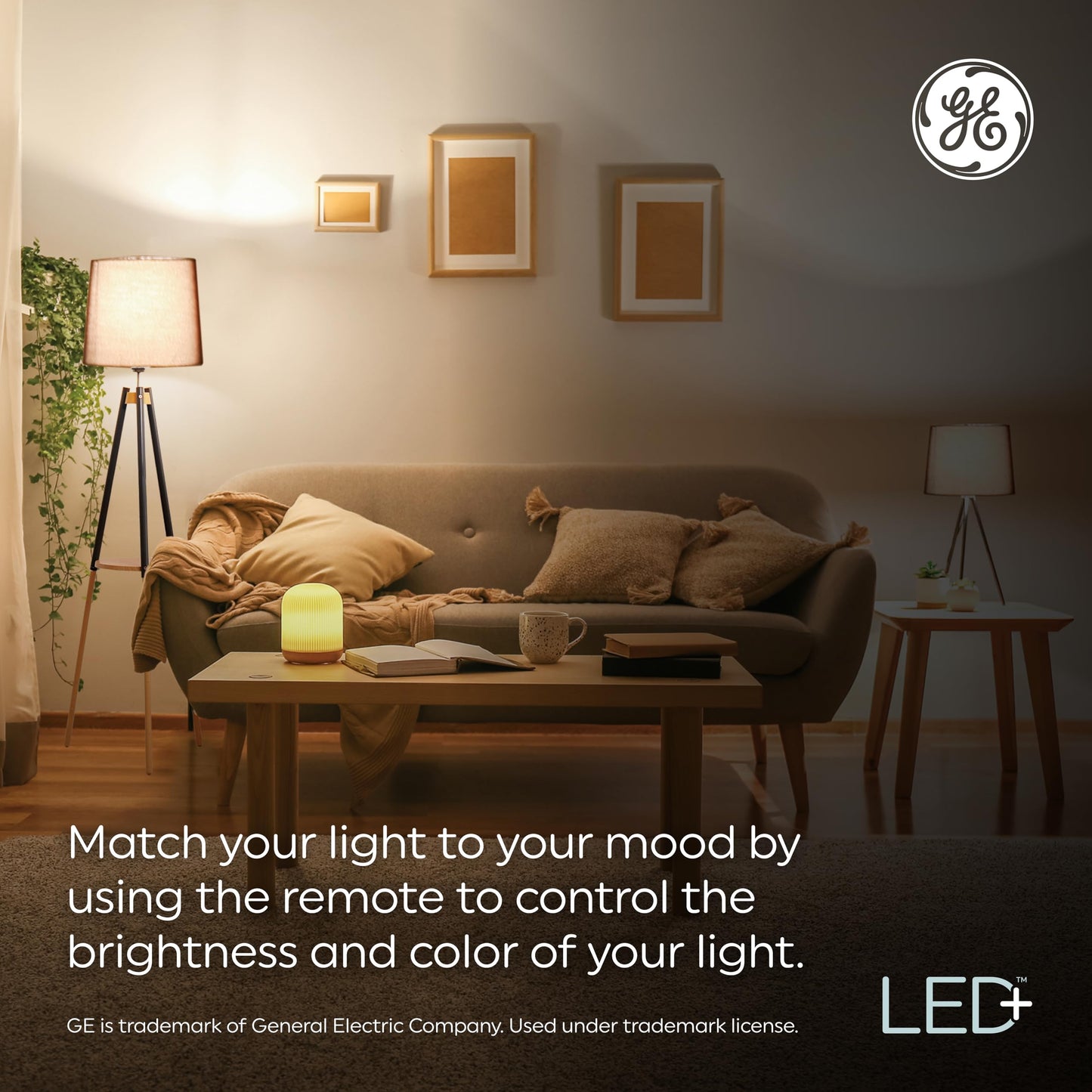 GE LED+ Color Changing LED Light Bulbs with Remote, No App or Wi-Fi Required, A19 Bulbs, CA Compliant (2 Pack)