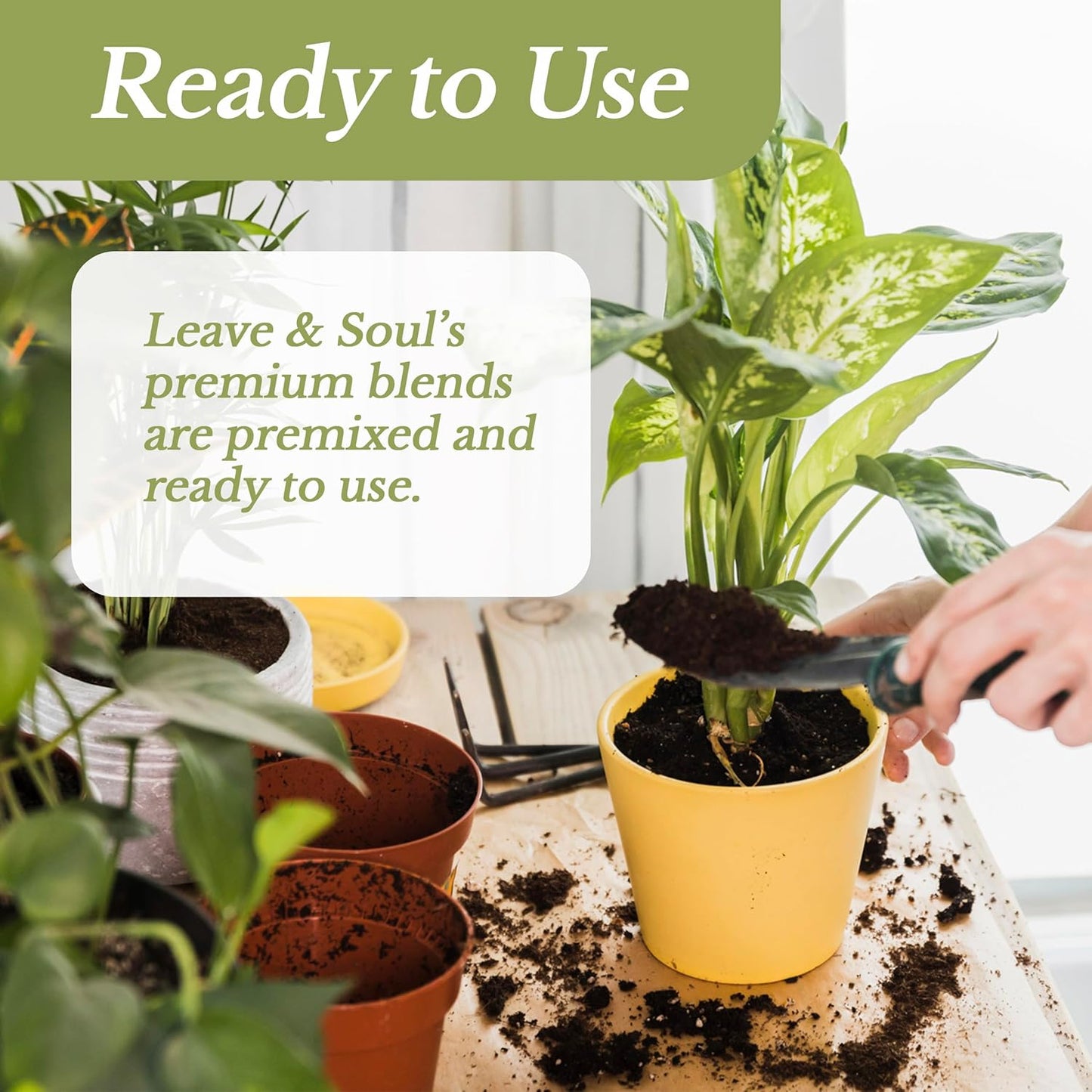 Professional Peace Lily Soil | Large 2.2 Quarts Ready to Use for Peace Lily Plants | Peat Moss, Coco Coir, Perlite, Dolomite | Made in USA