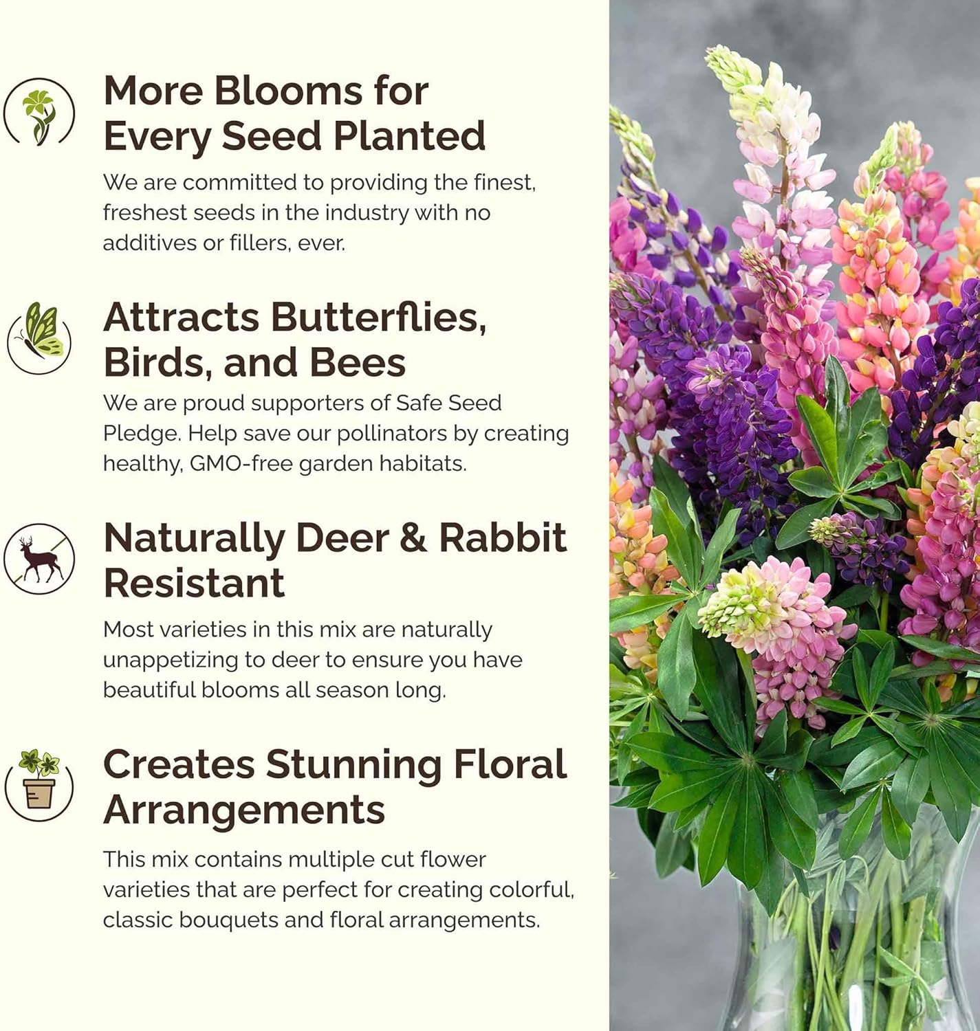Eden Brothers Lupine Flower Mixed Seeds for Planting, 10 lb, 4,800,000+ Seeds with Russell, Arroyo, Yellow, Sky Lupine | Attracts Pollinators, Plant in Spring or Fall, Zones 3, 4, 5, 6, 7, 8, 9, 10