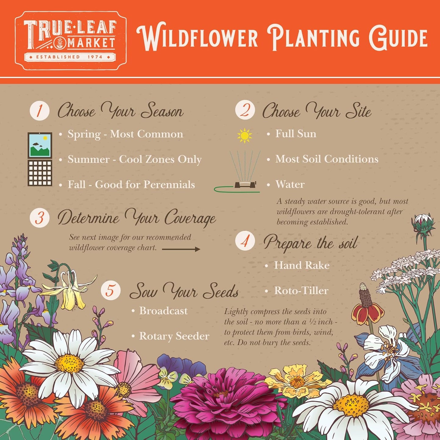 Rocky Mountain Wildflower Seeds Mix - 5 Lb Seed Pouch - 22 Wild Flower Seed Varieties - Annuals, Perennials and Bi-Annuals - Flower Garden