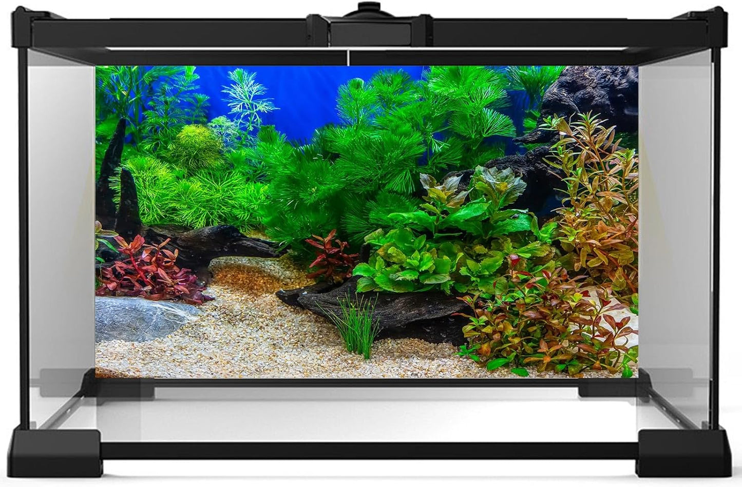 Aquarium Background Underwater Grass Leaves with Pebble Aquarium Backdrop Vivid and Fresh Green Aquatic Plant Stone River Bed and Lake Fish Deadwood Tank Background Decor Vinyl 48x18in
