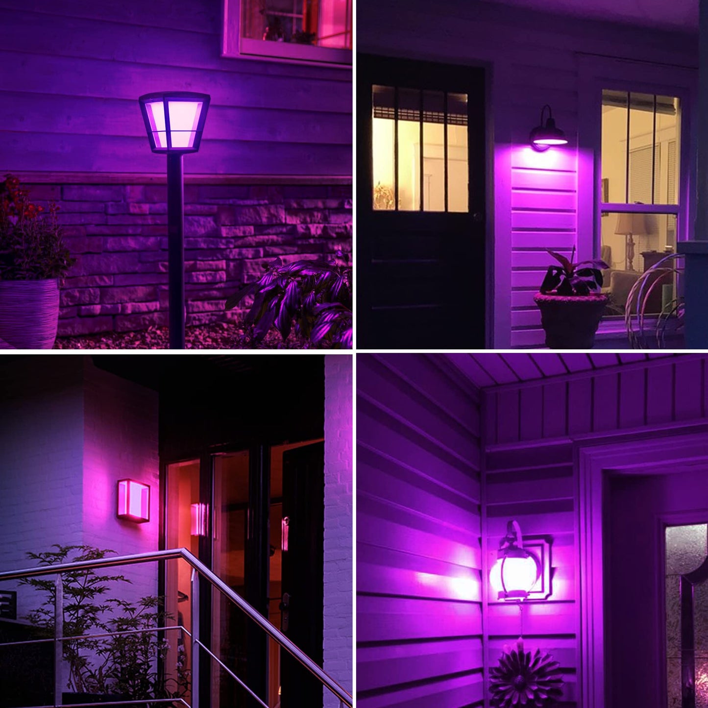 Purple Light Bulb  5W (40W Equivalent)  E26 Base A15 Led Purple Bulb  Party Decoration  Porch  Home Lighting  Holiday Lighting  Decorative Illumination  Non-Dimmable  2 Pack