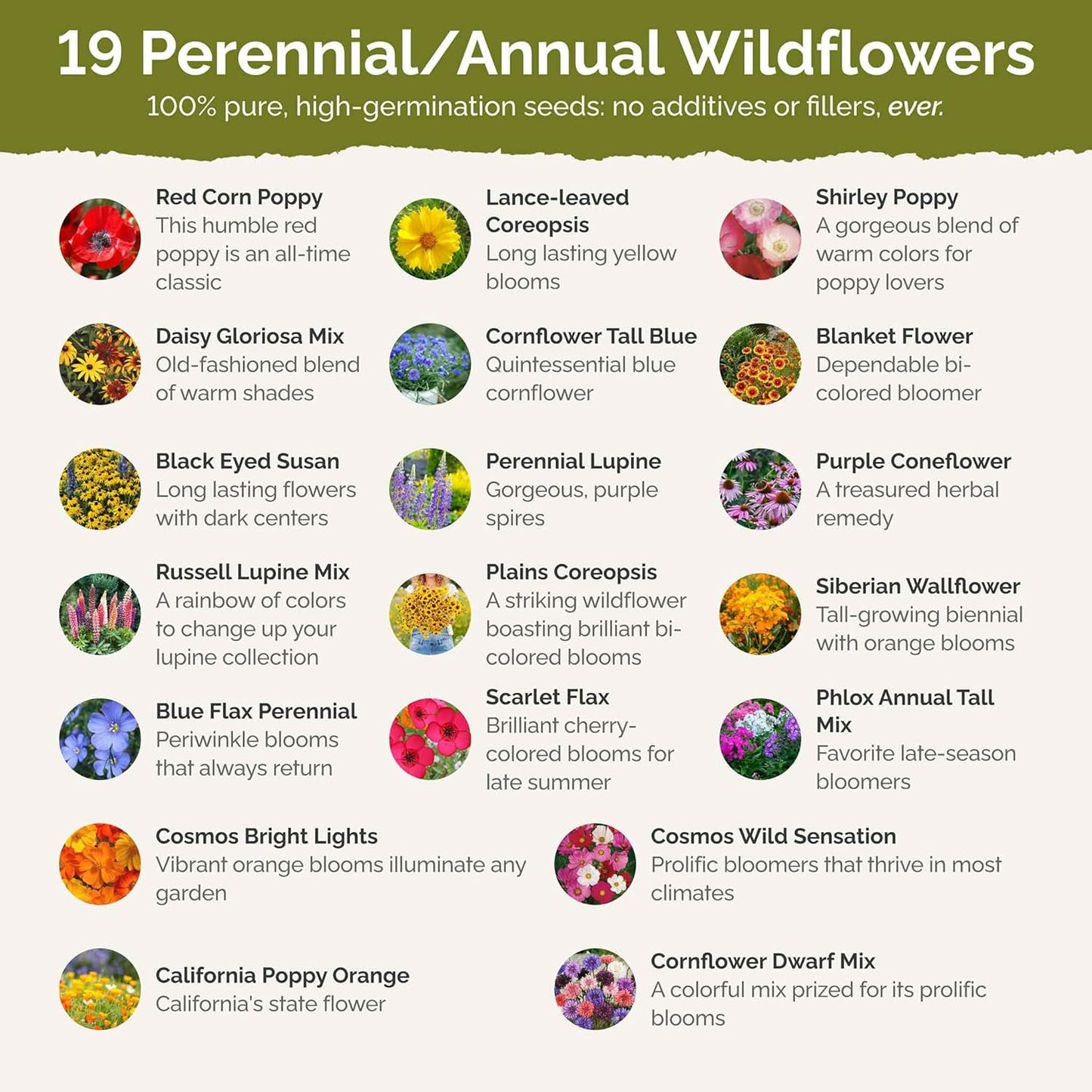 Eden Brothers Burst of Bloom Wildflower Mixed Seeds for Planting, 50 lb, 24,000,000+ Seeds with Cosmos, Black Eyed Susan | Attracts Pollinators, Plant in Spring or Fall, Zones 3, 4, 5, 6, 7, 8, 9, 10