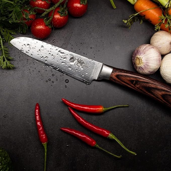 Wakoli EDIB Damascus Small Santoku Knife – 4.7-Inch Japanese Style Kitchen Knife | Genuine 67-Layer Damascus Steel Blade with VG10 Core | Ergonomic Pakkawood Handle | Multi-Purpose Cooking Knife