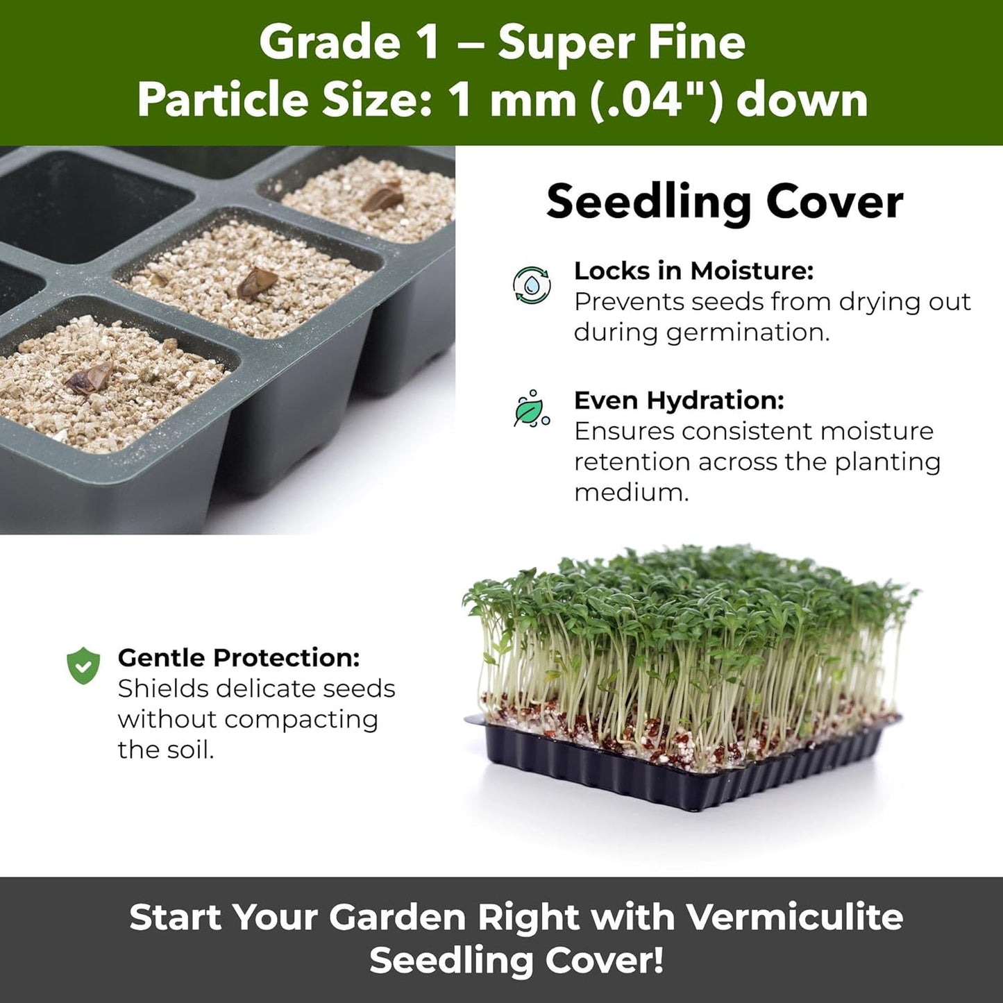 Organic Superfine Vermiculite for Indoor Gardening Plants and Mushrooms – Enhances Soil Aeration, Seed Germination, Rooting Cuttings – Small Packages and Bulk (Vermiculite Grade 1 - Superfine, 3 qts)
