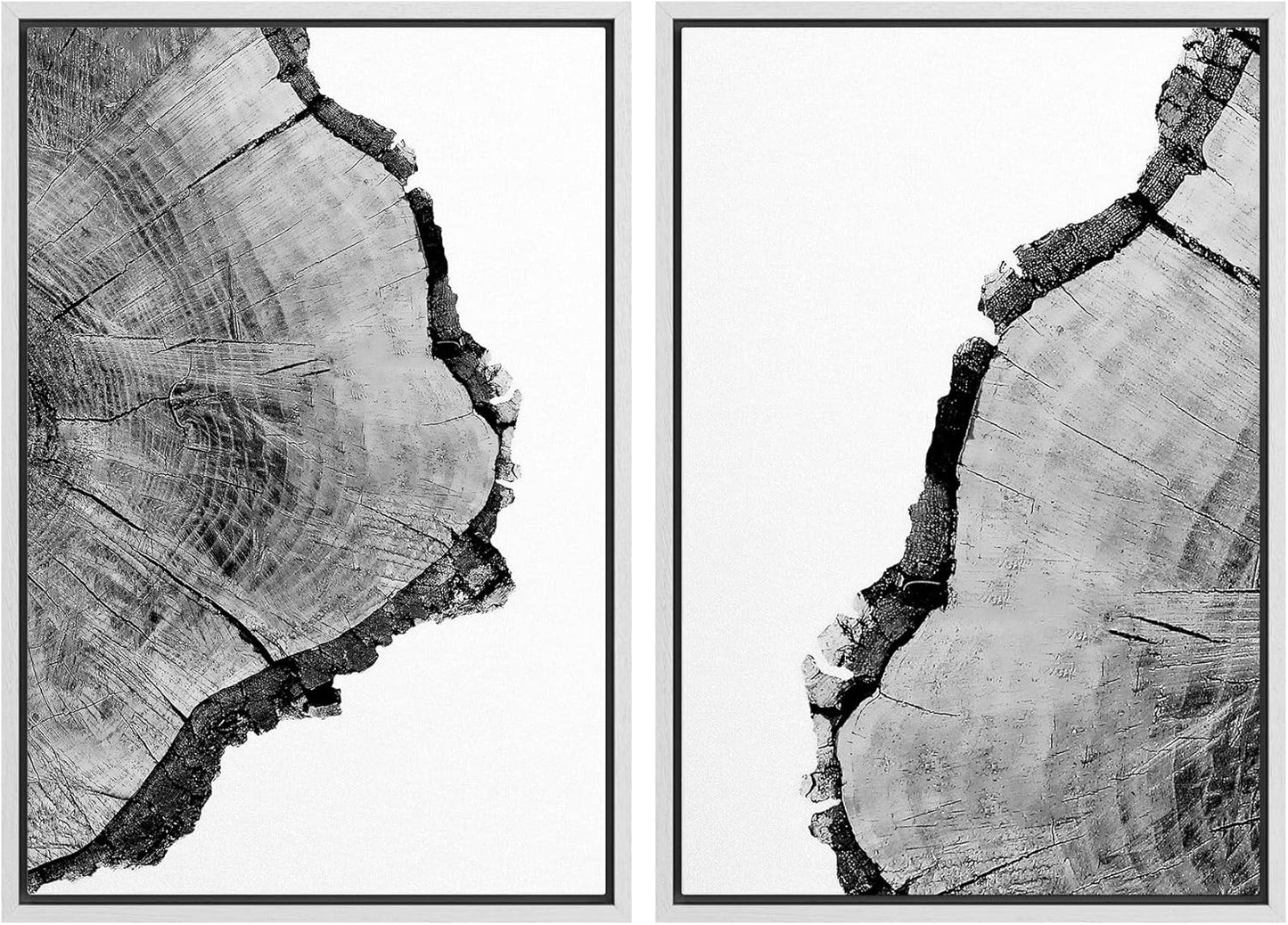 SIGNWIN Framed Wall Art Print Set Black & White Close Up Tree Ring Details Nature Wilderness Photography Modern Art Rustic Relax/Calm Multicolor for Living Room, Bedroom, Office - 16"x24"x2 White