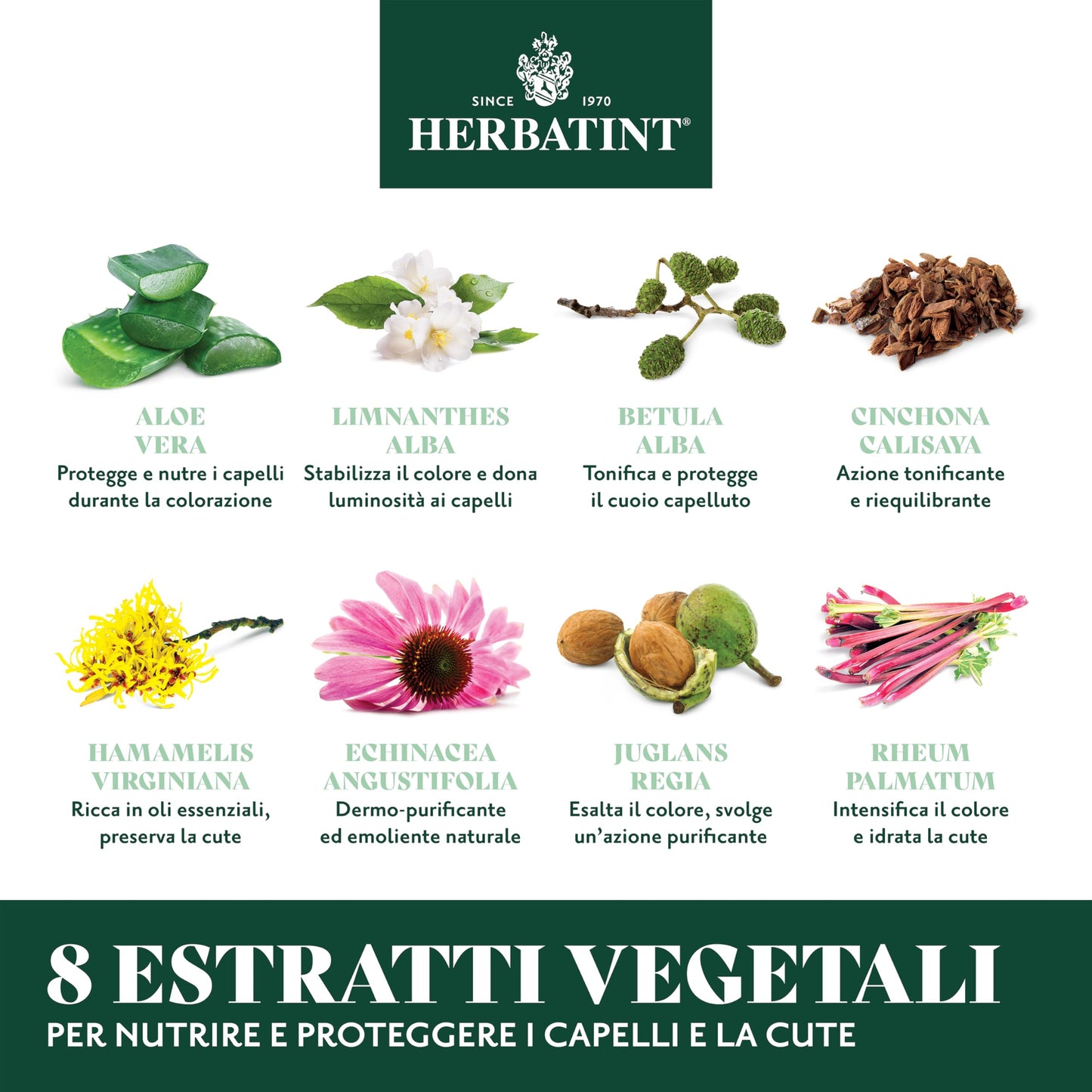 HERBATINT 5N Light Chestnut Hair Color, 4.56 FZ