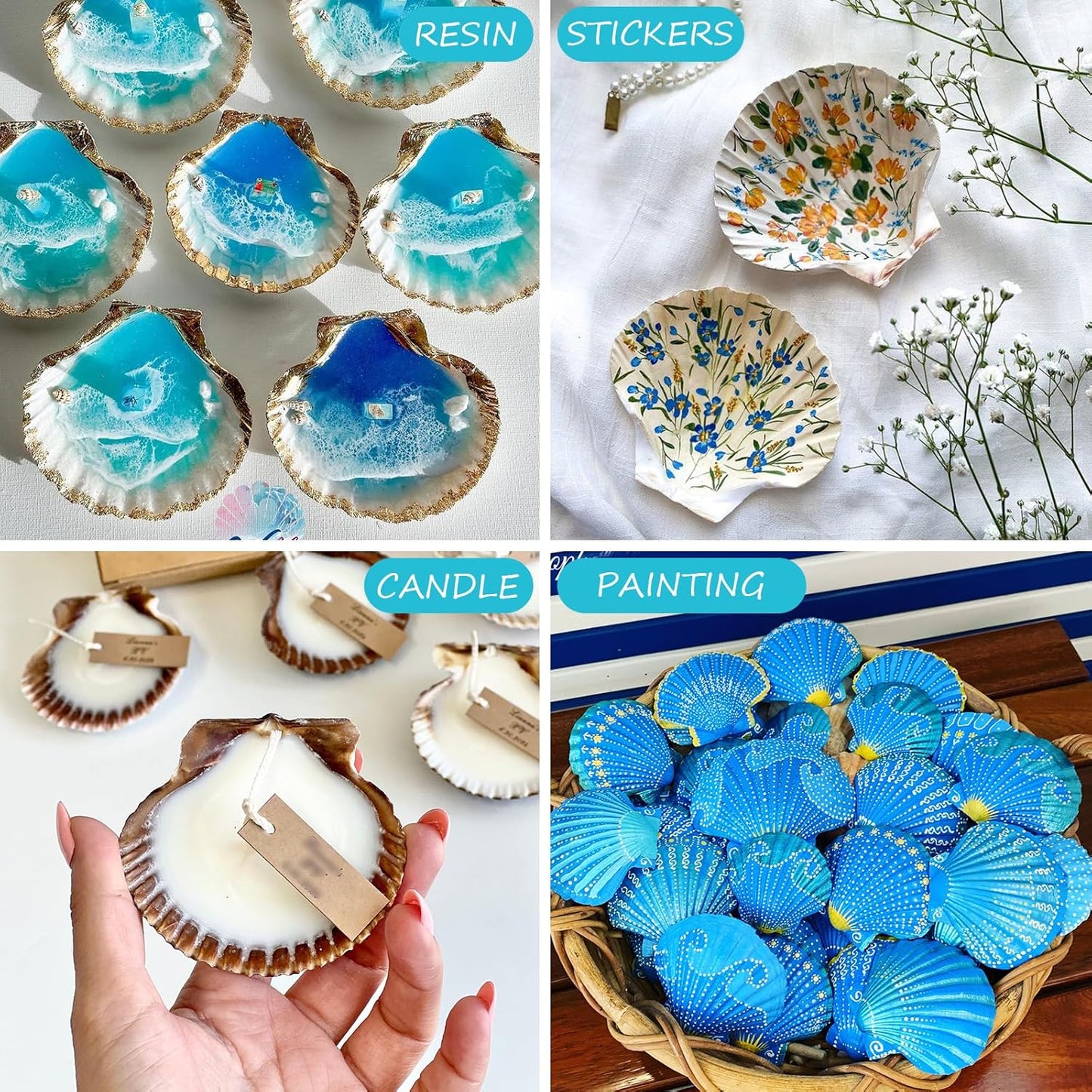 30PCS Scallop Shells for Crafts 2''-3'' Natural White Large Shells Decoration for DIY Craft Painting, Home Decor, Baking and Beach, Wedding Party Decoration