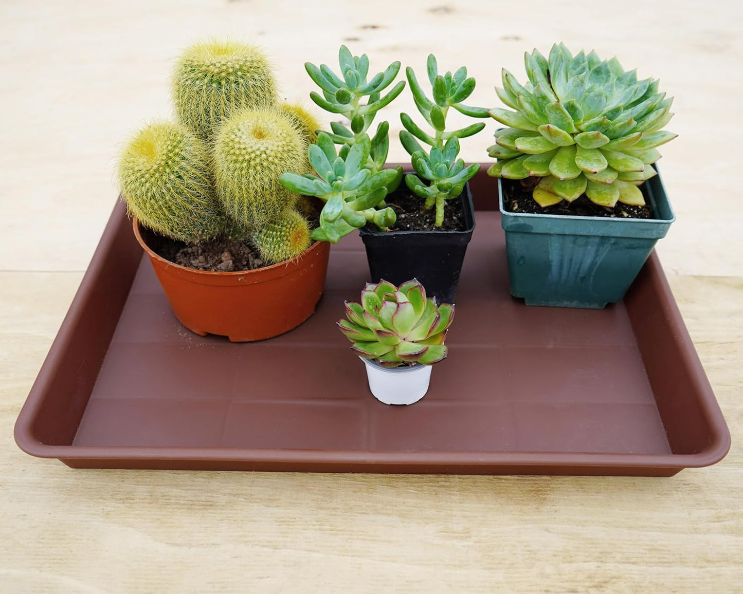 Rectangle Plant Tray, Plant Drip Tray, Plant Pot Saucers, Plant Germination Trays, Plant Saucers, 14.5'' x 11'' x 1.5'' (2 pack), Chocolate