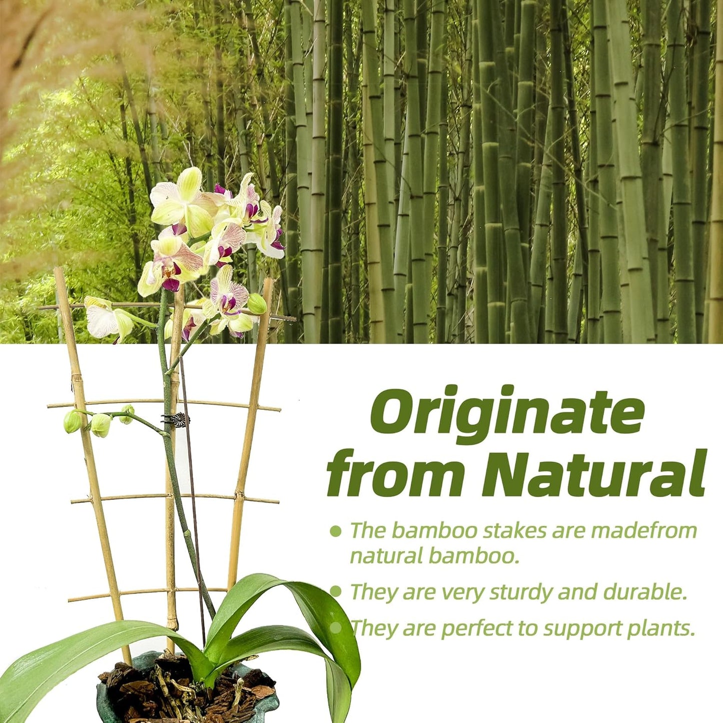 16Inch 5Pack Bamboo Trellis for Climbing Plants, Garden Ladder Trellis for Potted Plants Indoor, Fan Shaped Small Plant Support Trellis for HousePlants Ivy Vine Monstera 3-4