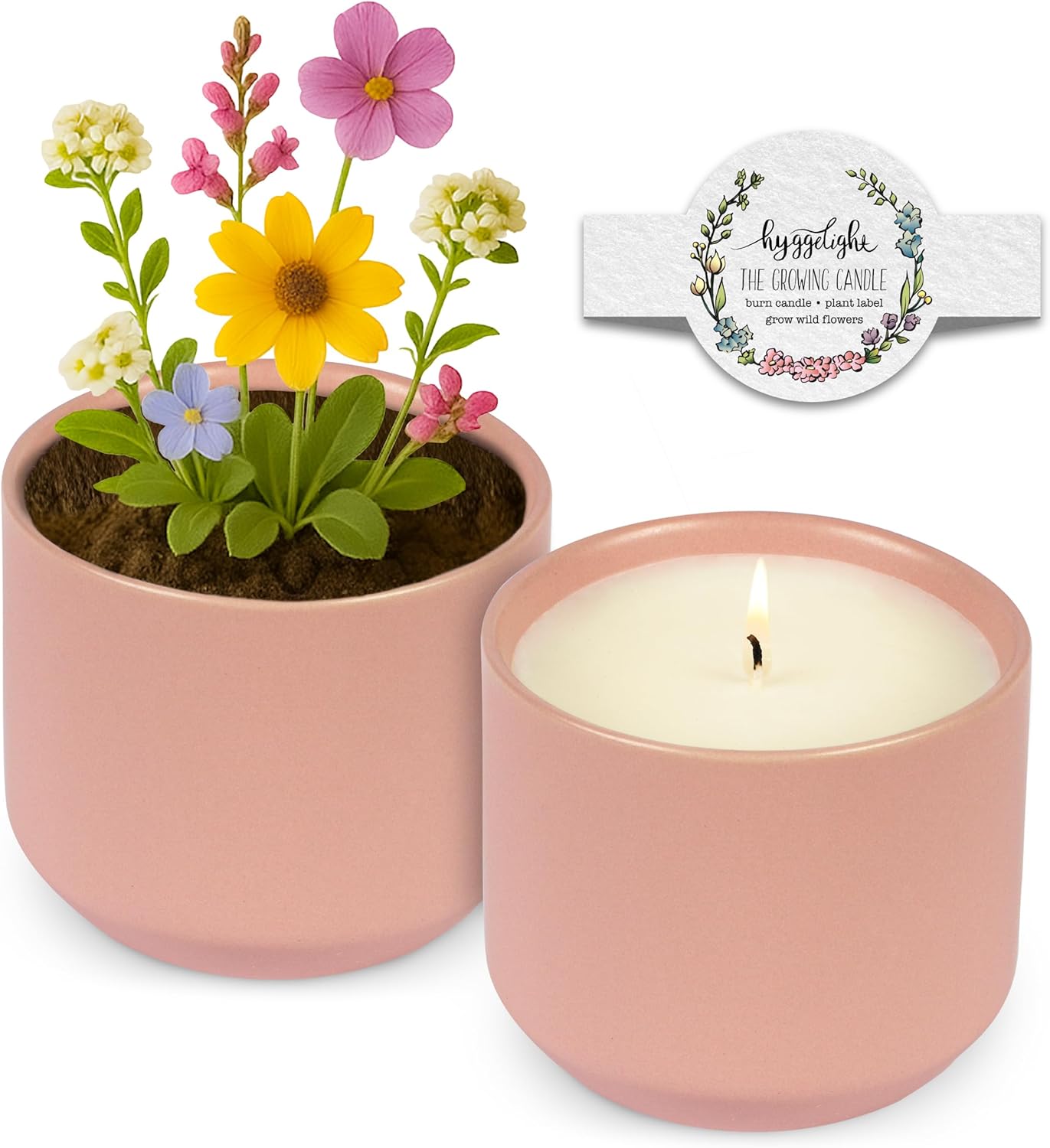 The Growing Candle, Sandalwood & Vanilla Scented, 8oz Ceramic Pot, Aromatherapy Candles for Home, 100% Soy, Adelyn