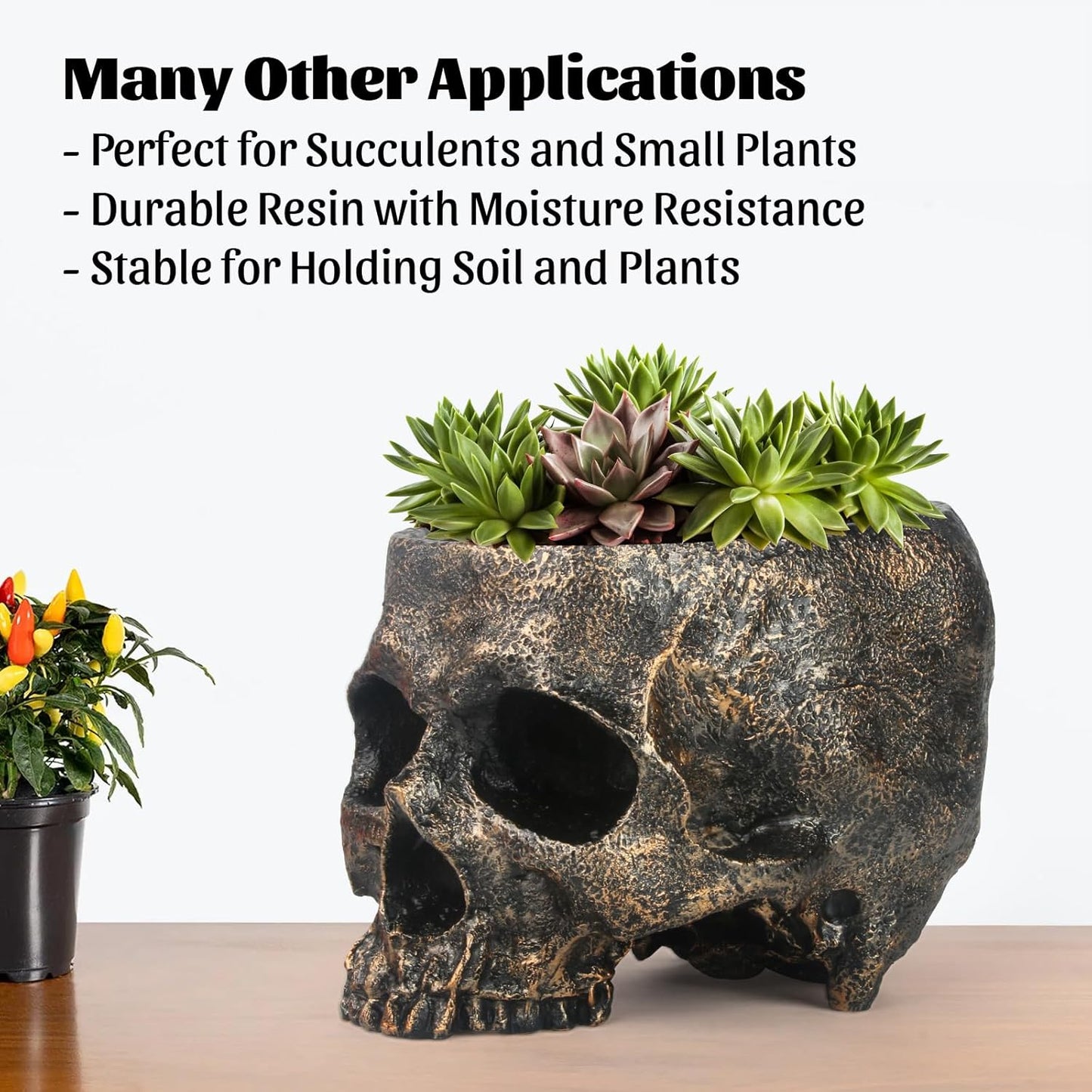 GameXcel Halloween Skull Candy Dish - Large Skull Candy Bowl for Trick or Treat - Skeleton Head Treat Container Planter or Desktop Halloween Decor - Bronze Resin