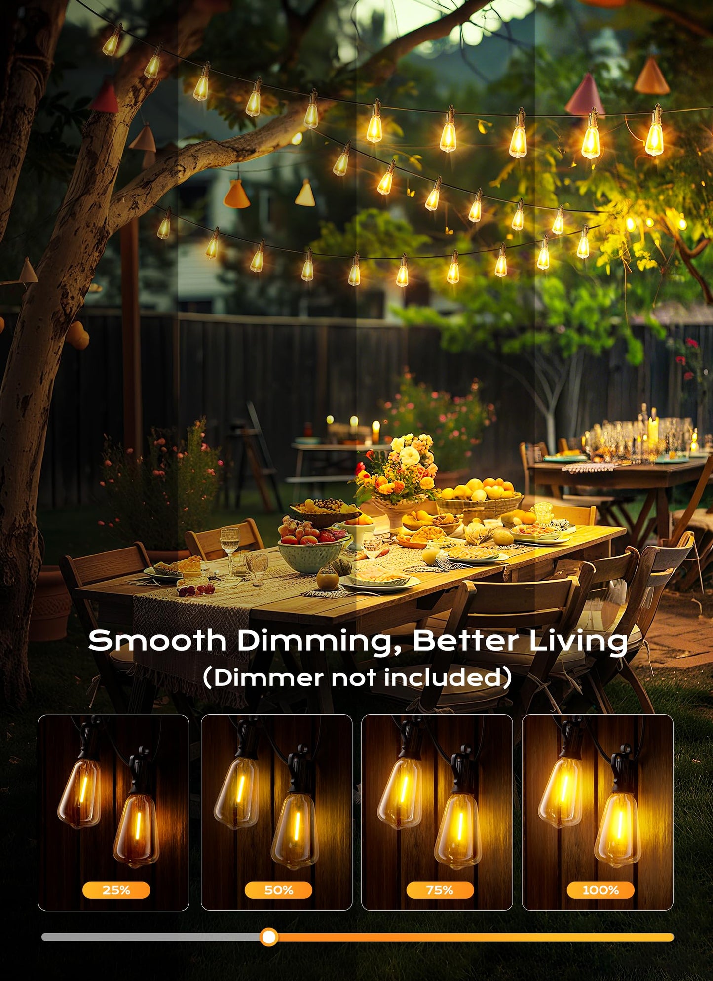 Brightown Outdoor String Lights, 50FT, 18+1 LED, Shatterproof, Dimmable, IP65 Waterproof, Black, Model GYPC-O