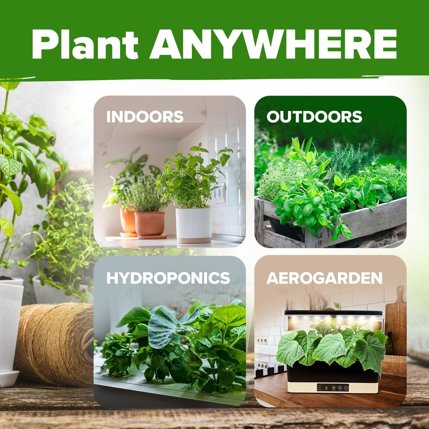 HOME GROWN 20 Herb Seeds for Planting 6,000+ Non-GMO Heirloom Seeds | Extra Large Variety Pack Herb Kit – Indoor Outdoor & Hydroponic | Culinary Seed Set | Grow Your Own Herbs | Gardening Gift