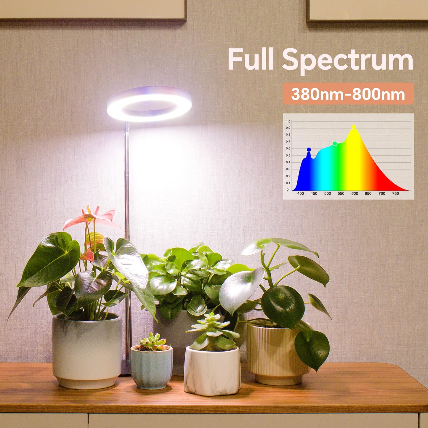 Gtruiidy Desktop Grow Light  Height Adjustable Grow Lights For Indoor Plants Full Spectrum  3 Lighting Mode  Halo Grow Light With Timer  Plant Lights For Indoor Growing (Black)