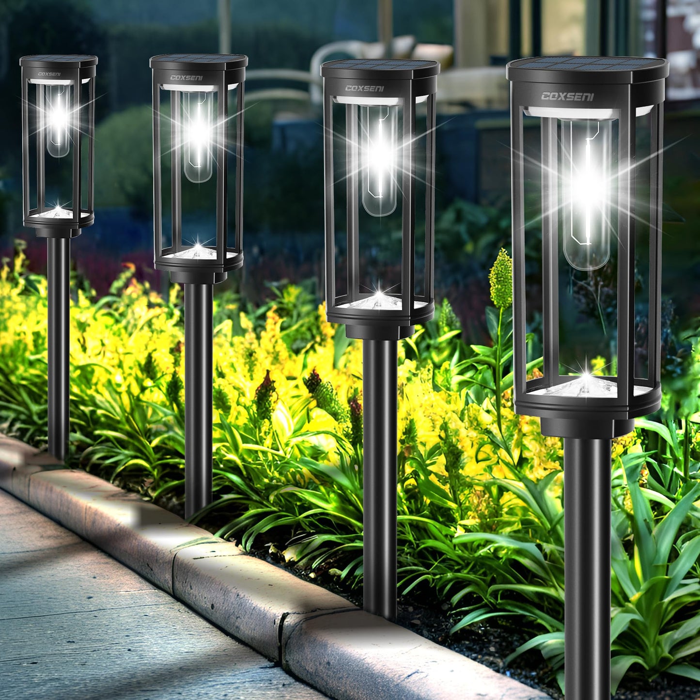 COXSENI Solar Pathway Lights Outdoor, 6 Pack, Waterproof, Cool White, Model MOM-051