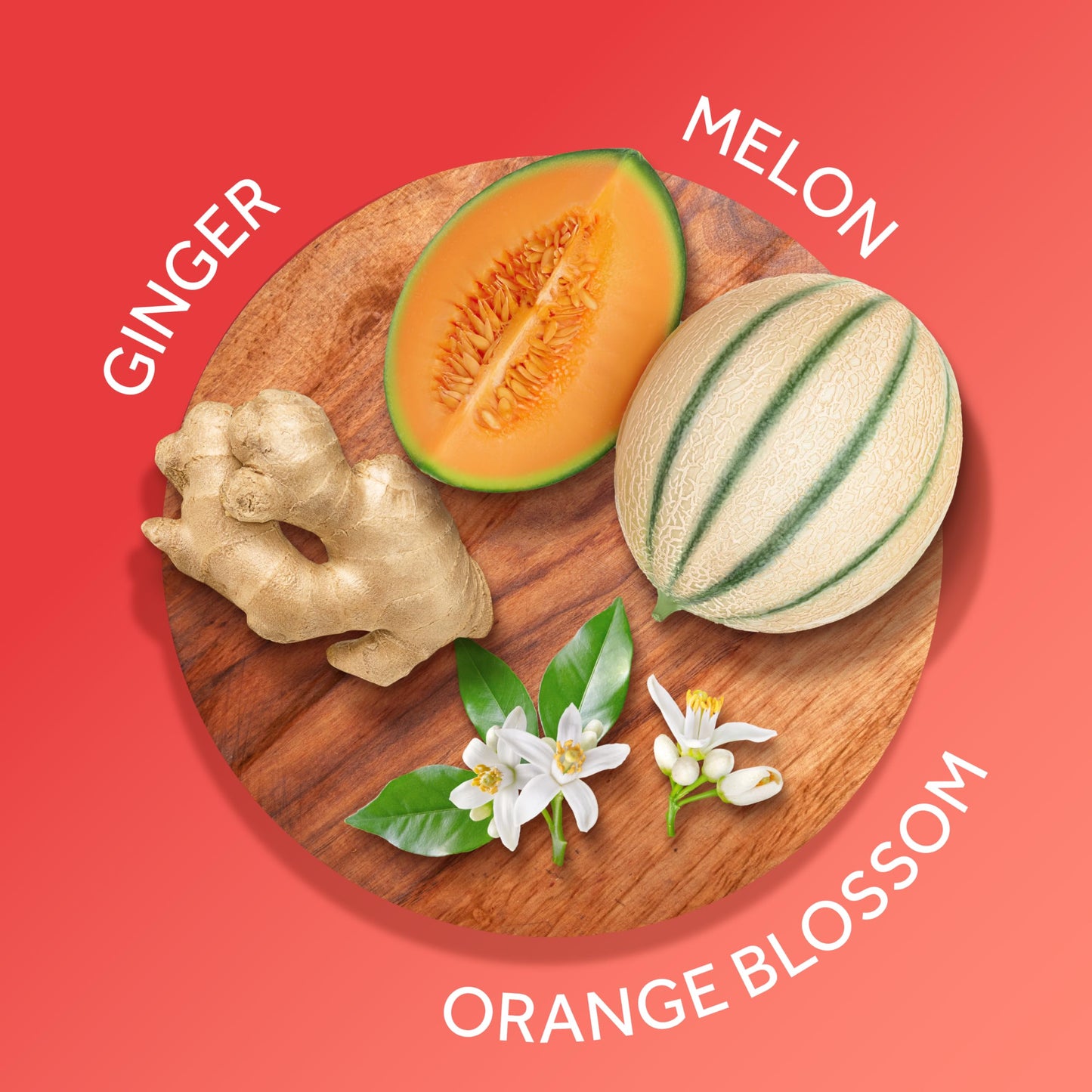Calgon Fragrance Body Mist, Hawaiian Ginger, 8 fl oz