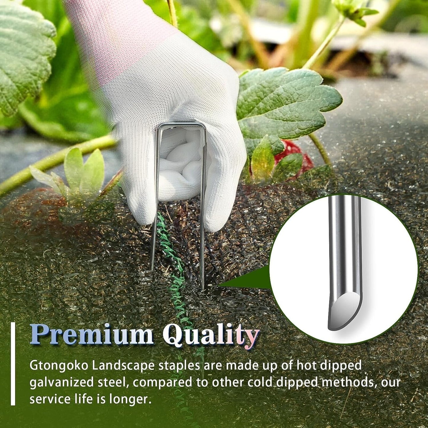 Gtongoko 50 Pack Galvanized Landscape Staples, Garden Stakes, Tent Stakes, Plant Cover Stakes 6 Inch for Landscaping Securing Weed Barrier Fabric, Irrigation Tubing, Holding Fence