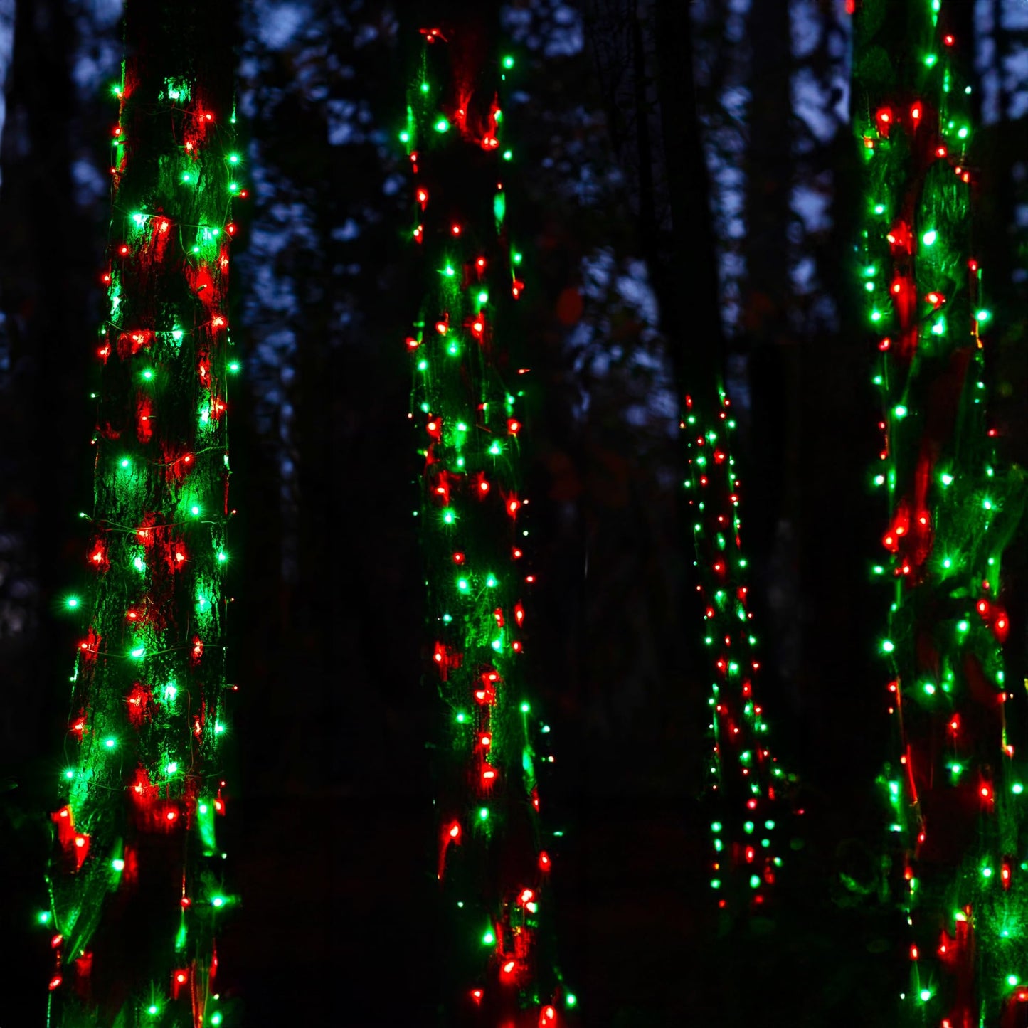 Tw Shine Christmas Mini String Lights, 20Ft, 100 Count, Waterproof, Red And Green, Model Zf-100-2/Sb, Indoor/Outdoor Decorations