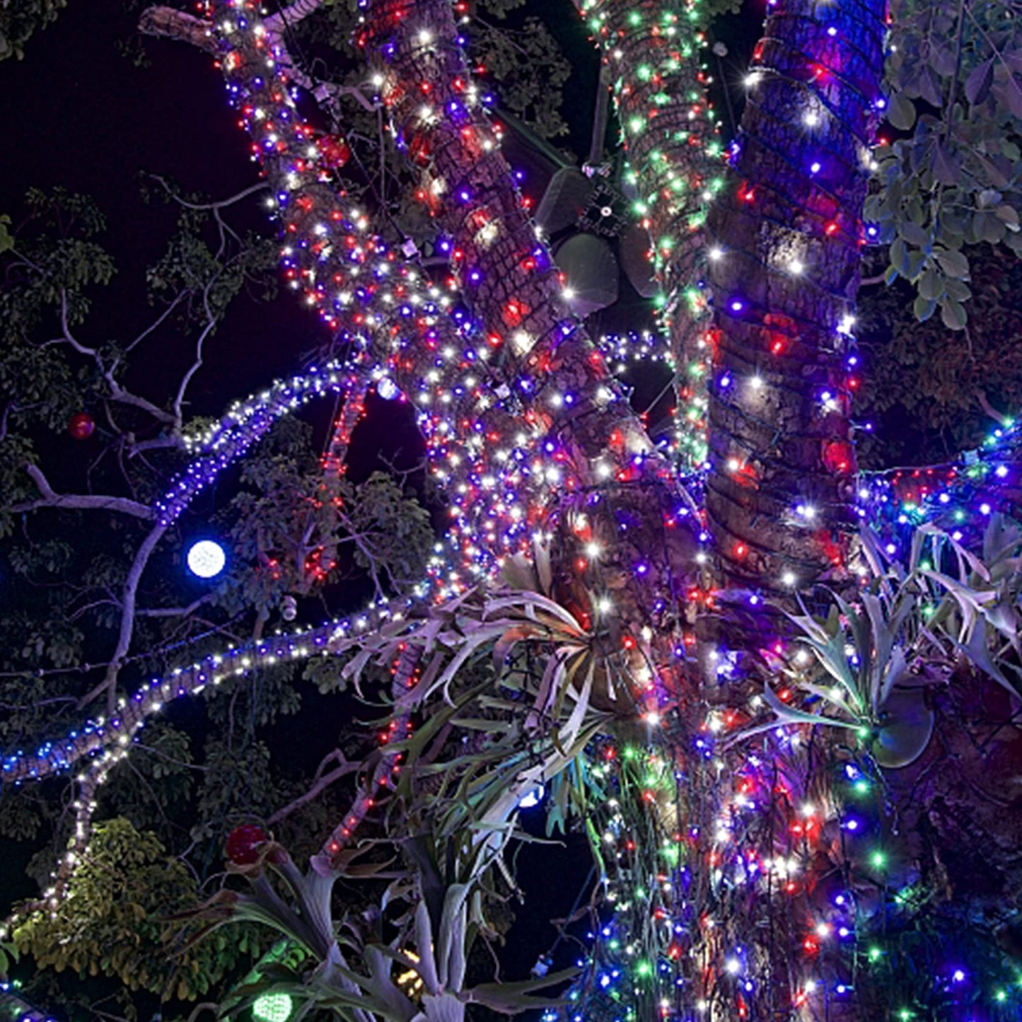 HOME LIGHTING 66ft LED Fairy String Lights, 200 Bulbs, 8 Modes, Green Wire, Red & Blue & White
