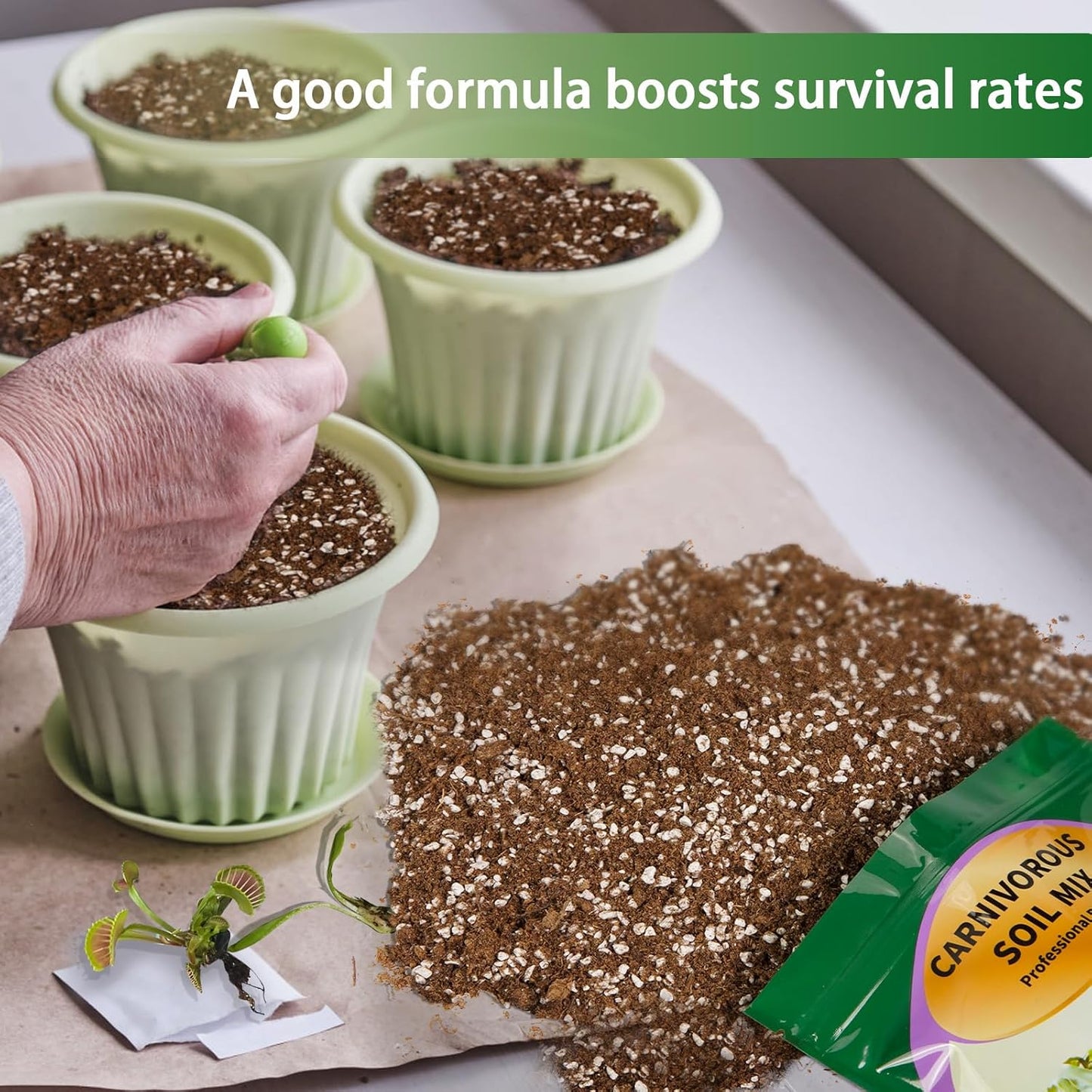 Carnivorous Plant Soil Mix 10qt, Pure Peat Moss and Perlite Mixture for Venus, Pitcher, Butterwort, Nepenthes, Sundew