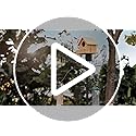 Garden Bird House Pole for Outdoor, BITNIN 92 Inch Heavy Duty Bird Feeder Pole Stand with Squirrel Proof Baffle 4 Shepherd...