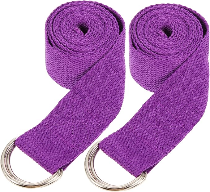 BESPORTBLE 2pcs Yoga Stretching Strap Back Buckle Professional Fitness Band for Yoga Stretching Back Calf Exercise Mat Holder